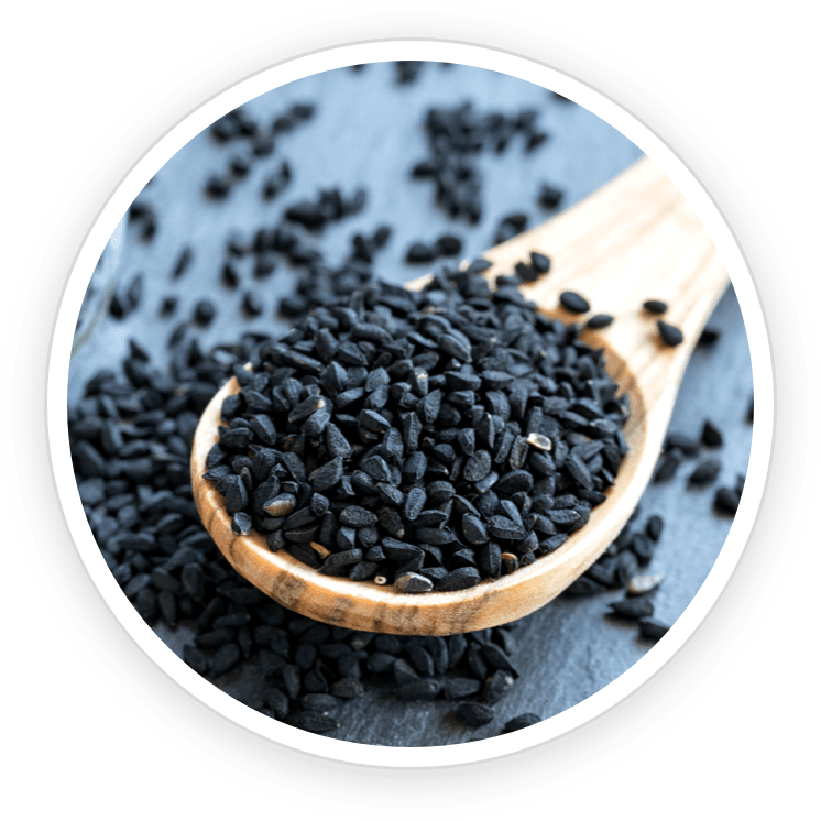 PrimeBiome - Text Presentation – Official Supplement