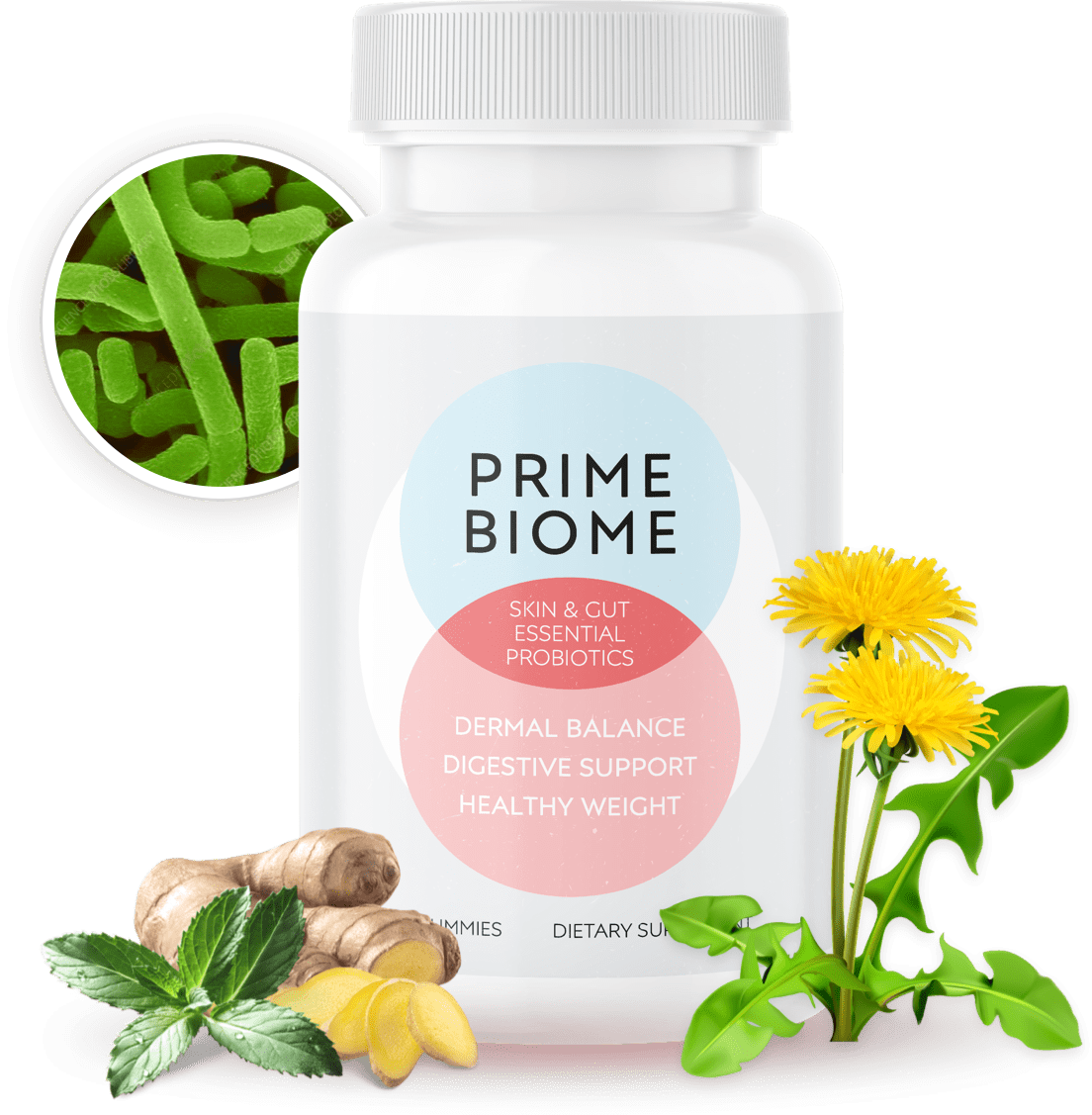 PrimeBiome - Text Presentation – Official Supplement