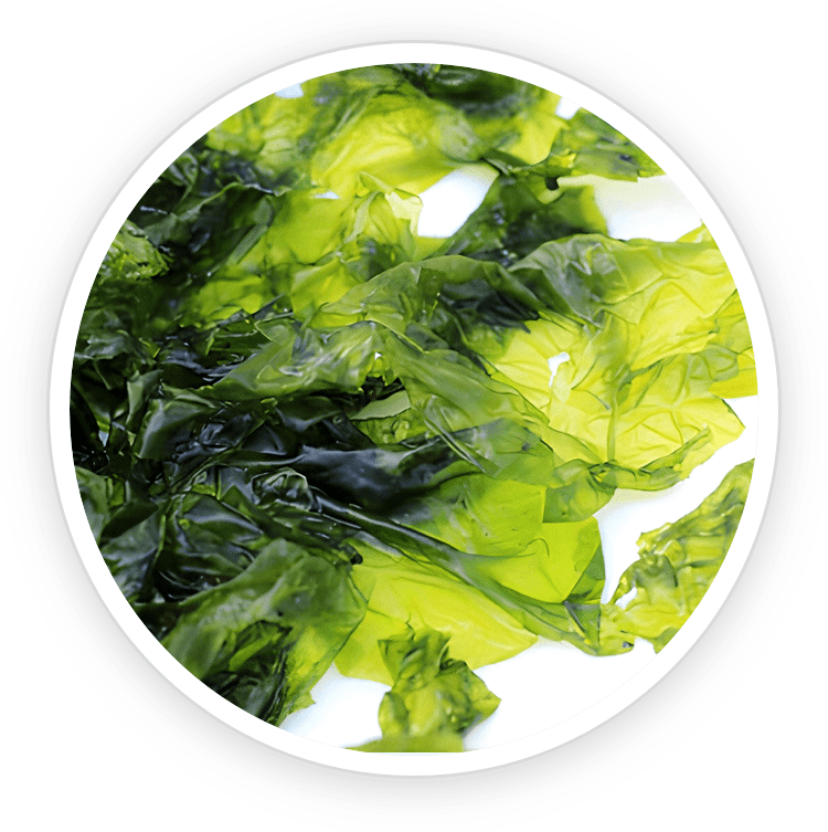 Prostadine - Text Presentation – Official Supplement