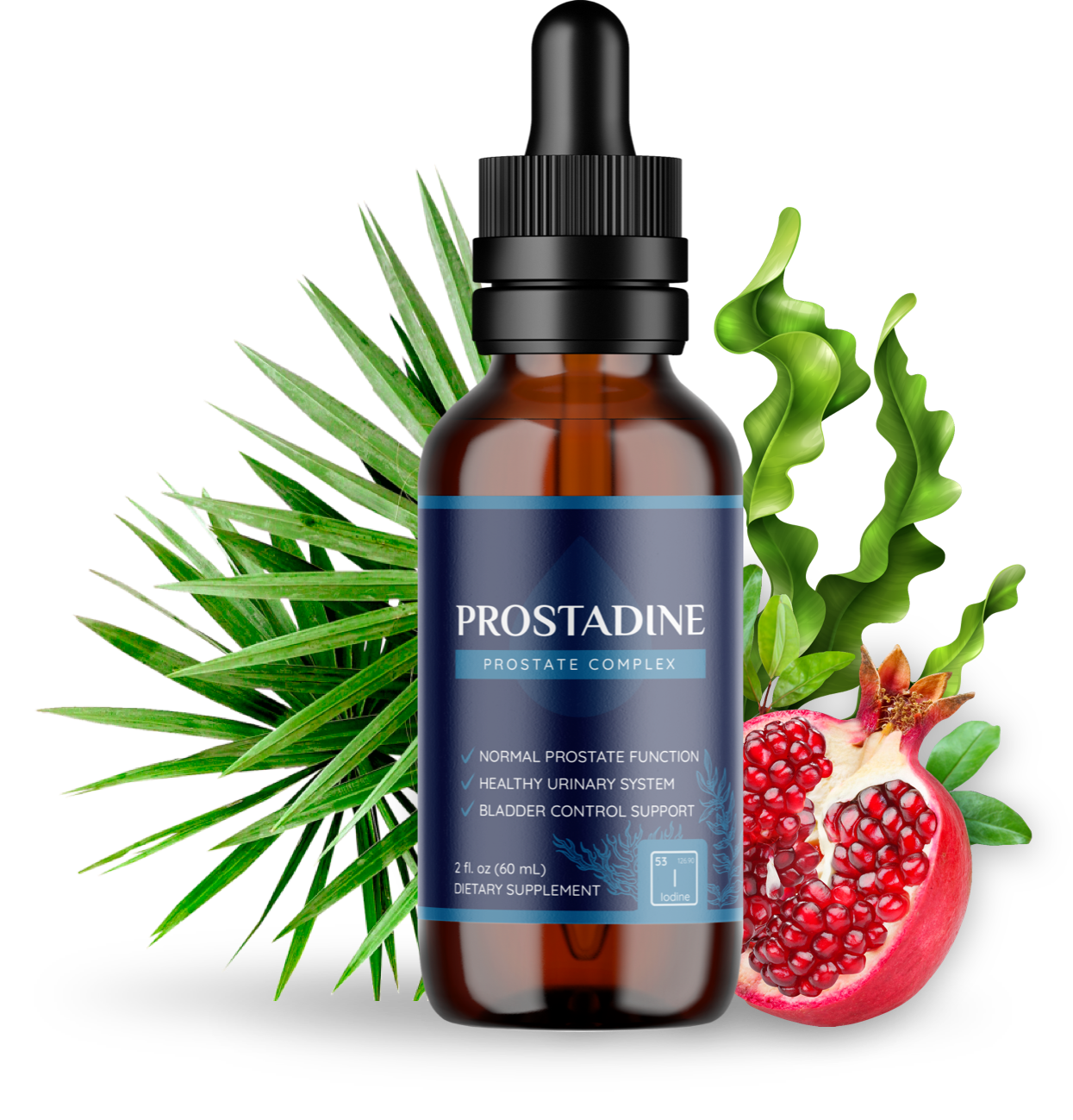 Prostadine - Text Presentation – Official Supplement